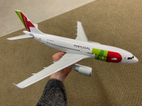 Photo: TAP Portugal, Airbus A310