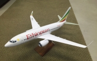 Photo: Ethiopian, Boeing 737-600, ET-ALU