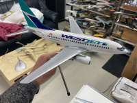Photo: WestJet, Boeing 737-600, C-GWSB