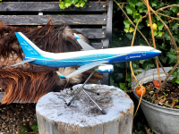 Photo: Boeing House Livery, Boeing 737-800